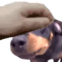 ottopet ottopet