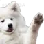 heya heya