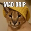 maddrip maddrip