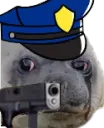laesgun