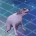 Party Dog partydog Discord Emoji