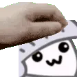 skad_pet