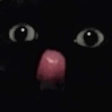 catBLELELE