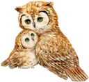 owlhug