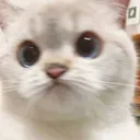 catdoubt Discord Emoji