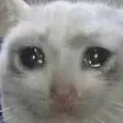 Sad1