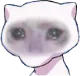 cri cri