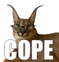 cope