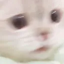 cWorry