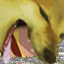 cheems1 cheems1