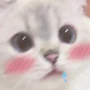 aaa aaa