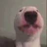 happywalter