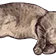 2_