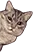 3_