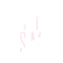 PI_TYSM PI_TYSM