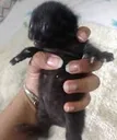 k_grabbing_its k_grabbing_its