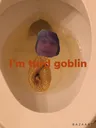 Turdgoblin