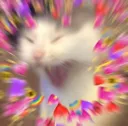 aa