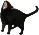 mrrrmrmrmrmrmrmmr2 mrrrmrmrmrmrmrmmr2