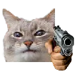 gunnest