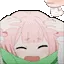 aCarmiBonk aCarmiBonk