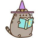 wizardsheenbook