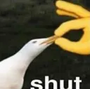 shut