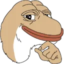 Lizard