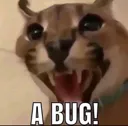 floppa_ABUGGG
