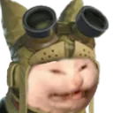 ShitEatingPalico