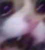 cry_1 cry_1