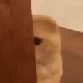 mewheniseeyou