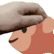aPetTheMonkey
