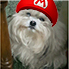 mario Discord emoji