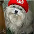 mario mario