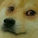 saddoge
