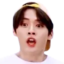 MinhoGasp