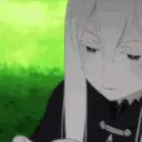 echidna