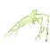 stick_bug stick_bug