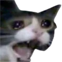 Yamero