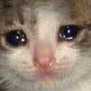f_WCatCry Discord emoji
