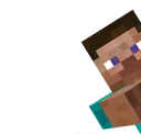 stevehide
