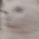 turnintoacatgirlalready Discord Emoji