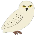 hedwig hedwig