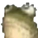 froog