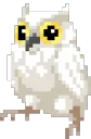 Owl_Dumb