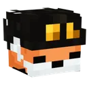 h_fundy
