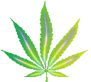 Weed420NullVR