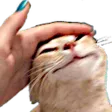 Catpat catpat Discord Emoji