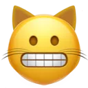 cat_grimacing_cat